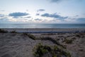 Beautiful shot of a seashore with plants growing in the sand under the cloudy sky Royalty Free Stock Photo