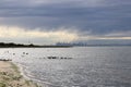 Beautiful shot of a seashore with a view of Melbourne in the distance