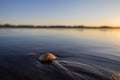 Beautiful shot of a shell on sunrise over Holden beach in North Carolina
