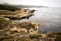 Beautiful shot of a shore of Point Lobos State Natural Reserve, California, USA Royalty Free Stock Photo