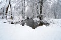 Beautiful shot of the snowy landscapes near a river