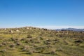 Beautiful shot of Spengler hills OHV area, California Royalty Free Stock Photo