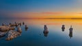 Beautiful shot of stones in the ocean with the reflection of the orange sunset sky in it