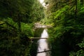 Beautiful shot of a strong waterfall falling in the river in the middle of a forest Royalty Free Stock Photo