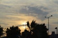 Beautiful shot of the sun shining through clouds and palm trees Royalty Free Stock Photo