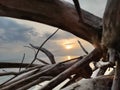 Beautiful shot of the sunlight over the Lake Sevan taken from the inside of thick wooden sticks