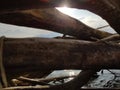 Beautiful shot of the sunlight over the Lake Sevan taken from the inside of thick wooden sticks