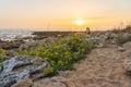 Beautiful shot of sunrise in the seashore of zahora spain