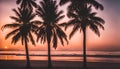 beautiful shot of a sunset at the beach with palm trees