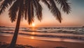 beautiful shot of a sunset at the beach with palm trees