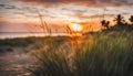 beautiful shot of a sunset at the beach with palm trees