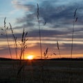 Beautiful shot of sunset over a field Royalty Free Stock Photo