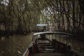 Beautiful shot of a swamp scenery from the boat