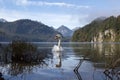 Beautiful shot of a swan in Lake Alpsee from Ostallgau district in Bavaria, Germany Royalty Free Stock Photo