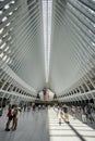 Beautiful shot taken inside the Oculus building in New York City Royalty Free Stock Photo