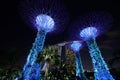 Beautiful shot of the tall blue architectural buildings of Singapore Gardens by the Bay Royalty Free Stock Photo