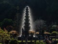 Beautiful shot of a temple surrounded by a beautiful garden in Bali, Tirta Gangga