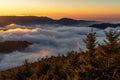 Beautiful shot of thick fog over the Black Forest Mountains in Germany Royalty Free Stock Photo