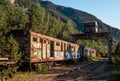 Beautiful shot of a train wagon covered in graffiti with the trees and mountains in the background Royalty Free Stock Photo
