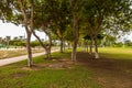 Beautiful shot of trees in a public park in Dubai, Zaabeel UAE Royalty Free Stock Photo