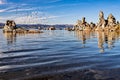 Beautiful shot of Tufa Towers with flock of birds flying above the water at Mono Lake, California Royalty Free Stock Photo