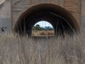 Beautiful shot of a tunnel with an arch surrounded by dry gr?ssland in the steppe