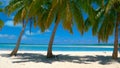 Beautiful shot of the unspoiled tropical beach in the picturesque Cook Islands.