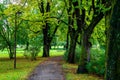 Beautiful shot of a walkway in the park in autumn Royalty Free Stock Photo