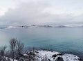 Beautiful shot of the winter in the Arctic region, Hillesoy, Kvaloya Island, Tromso, Norway Royalty Free Stock Photo