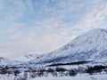 Beautiful shot of the winter in the Arctic region, Kvaloya Island, Tromso, Norway Royalty Free Stock Photo