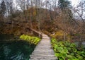 Beautiful shot of wooden bridge of Plitvice Lakes National Park in Croatia Royalty Free Stock Photo
