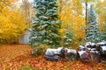 Beautiful shot of a wooden house surrounded by autumn trees in the forest Royalty Free Stock Photo