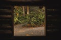 Beautiful shot from a wooden hut window of fern plants growing in a forest Royalty Free Stock Photo