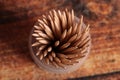 Wooden toothpicks