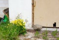 Beautiful shot of the yellow field flowers in front of an old white building with a broken door Royalty Free Stock Photo