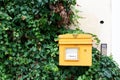 Beautiful shot of a yellow mail box surrounded by green leaves