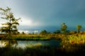 Beautiful side lighting over a pond in Big Cypress Preserve, Flo Royalty Free Stock Photo