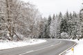 Beautiful view of the road in the winter forest. Royalty Free Stock Photo