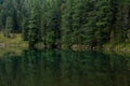 Beautiful sight of a shimmering green lake