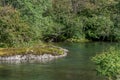 Beautiful silence river in the forest Royalty Free Stock Photo