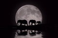 Beautiful Silhouette of African Elephants at Moonrise Royalty Free Stock Photo