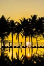 Beautiful Silhouette coconut palm tree on sky around swimming pool in hotel resort neary sea ocean beach at sunset or sunrise time Royalty Free Stock Photo