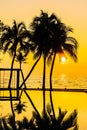 Beautiful Silhouette coconut palm tree on sky around swimming pool in hotel resort neary sea ocean beach at sunset or sunrise time Royalty Free Stock Photo