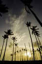 Beautiful silhouette image sunrise at the village near the shore