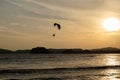 Beautiful Silhouette of paraglider flying in the sky of sunset on the beach. Royalty Free Stock Photo