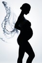 Beautiful silhouette of pregnant woman Royalty Free Stock Photo