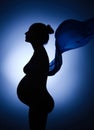 Beautiful silhouette of pregnant woman dreaming