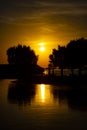 Beautiful silhouette of sun rising in Rhodes, Greece. The image shows bamboo sunshades and trees.