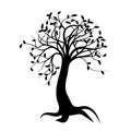 Beautiful silhouette tree with leaves, trunk, and roots on white background