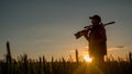 Silhouette of woman hunter. It stands in a picturesque place with a gun at sunset. Sports shooting and hunting concept Royalty Free Stock Photo